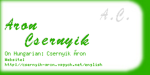 aron csernyik business card